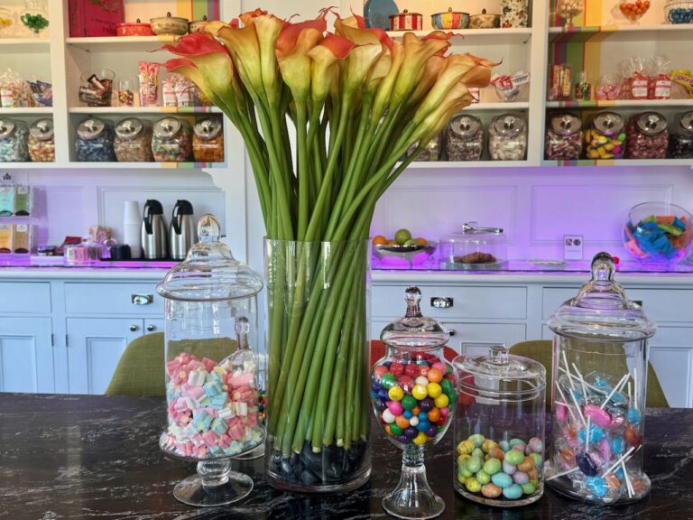 Camden Harbour Inn’s new Candy Lounge is sweet